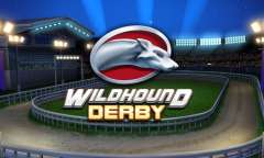 Jugar Wildhound Derby