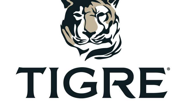 Tigre de Cristal: el éxito de un casino ruso