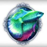 1 Reel Queen Of Water: Pescado