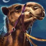 10 001 Nights MegaWays: Camello
