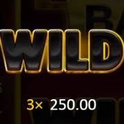 3 Coins Hold and Win: Salvaje