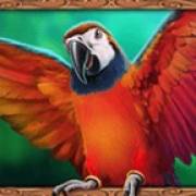 3 Genie Wishes: Loro