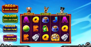 3 Top Dogs: Interfaz