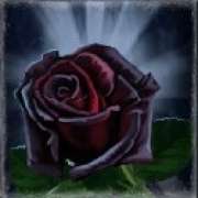 El símbolo Rosa en Dracula's Gems