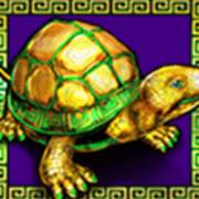 5 Fortune Dragon: Tortuga