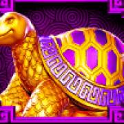 5 Lions Megaways: Tortuga
