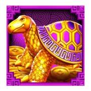 5 Lions Reborn: Tortuga
