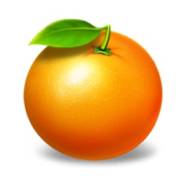 5x6 Fruity Shots: Naranja