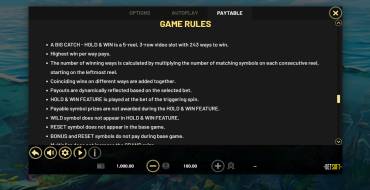A Big Catch - HOLD & WIN: Reglas