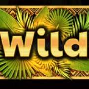 African Drum: Salvaje
