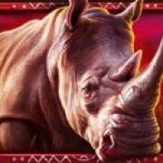 African Elephant: Rinoceronte