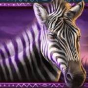 African Elephant: Cebra