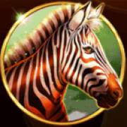 African Fortune: Cebra