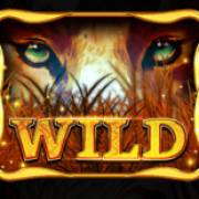 African Luck: Salvaje