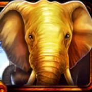 African Luck: elefante