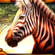 African Luck: Cebra