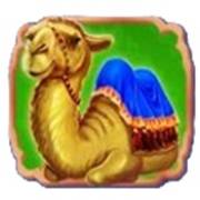 Aladdin’s Lamp: Camello