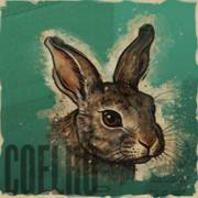 Animals Strike: Liebre