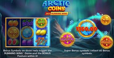Arctic Coins: Running Wins: Juegos de bonificación