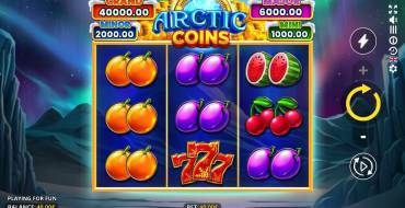 Arctic Coins: Running Wins: Símbolos