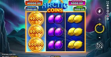Arctic Coins: Running Wins: Interfaz