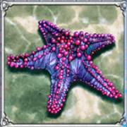 Ariana: Estrella de mar
