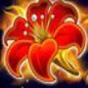 Arising Phoenix: Flor