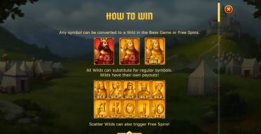 Arthur’s Fortune: Características