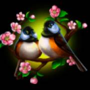 Bamboo Grove: Pájaros