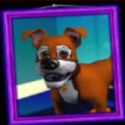 Barkin’ Mad: Perrito