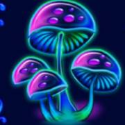 Beauty Fairy: Setas