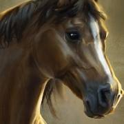 Big Bucks Bandits Megaways: Caballo