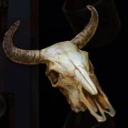 Big Bucks Bandits Megaways: Cráneo