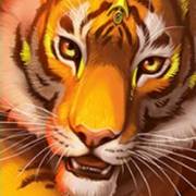 Big Cat King Megaways: Tigre