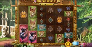 Big Cat Rescue Megaways: Máquina tragaperras