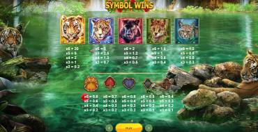 Big Cat Rescue Megaways: Tabla de pagos