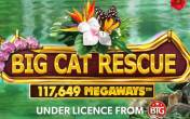 Big Cat Rescue Megaways