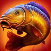 Big Fishing: Carpa