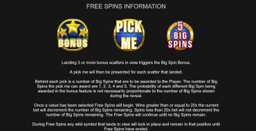 Big Spin Bonus: Tiradas gratuitas y/o re-giros