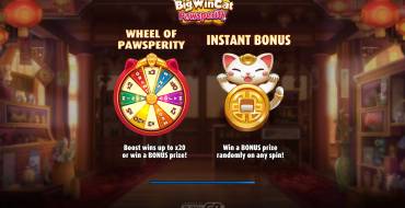 Big Win Cat Pawsperity: Características únicas