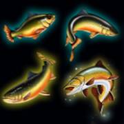 Bigger Size Fishin': Pescado