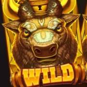Bison Battle: Salvaje
