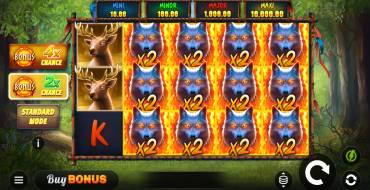 Blazing Spirit Hold and Win: Máquina tragaperras