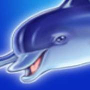 Blue Dolphin: Salvaje