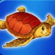 Blue Dolphin: Tortuga
