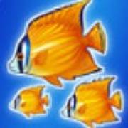 Blue Dolphin: Pescado