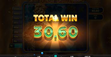Bonsai Dragon Blitz Dream Drop: Ganancias