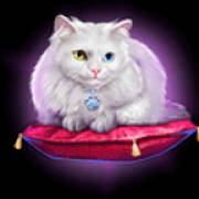 Book of Lady: Gato
