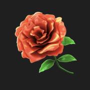 Book of Midas: Rosa