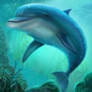Book of Poseidon: Delfín